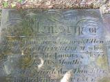 image of grave number 498952
